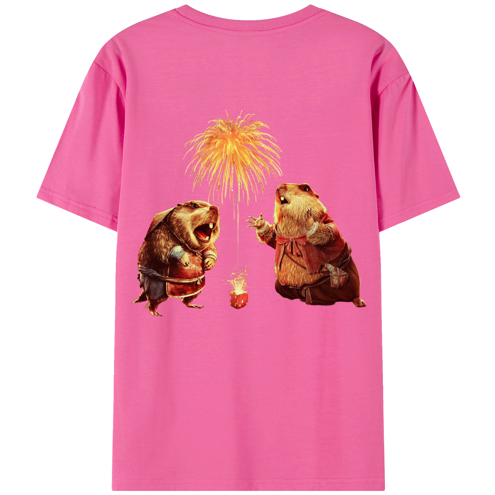 （画像用） Ne Zha 2 ナタ 魔童の大暴れ レディース半袖Tシャツ(バックプリント)